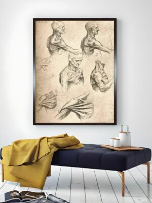 “Beige & Black Wooden Anatomical Drawing Painting Wall Art”